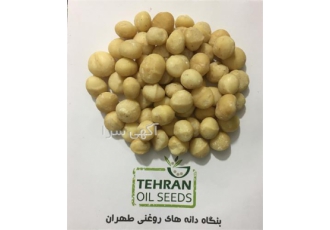 دانه ماکادمیا