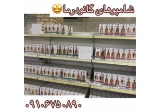 فروش شامپو بیز فروش شامپو ارگان بیز