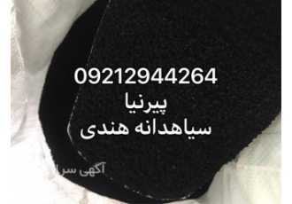 سیاهدانه هندی و روغن سیاهدانه خالص