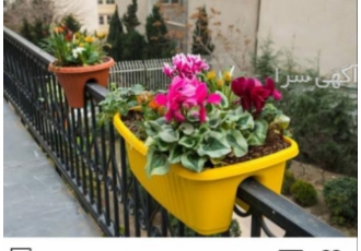 نمایندگی گلدان گلپونه شیرافکن نمایندگی گلدان گلپونه انواع گلدان و ارسال