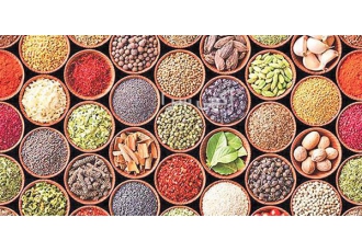 فروش دانه روغنی - فروش دانه کتان ، سویا ، کلزا