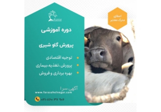 دوره آموزشی پرورش گاو شیری و تلیسه شیری + بازدید دوره آموزشی پرورش گاو