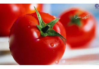 قیمت و فروش عمده گوجه صادراتی در کرمان بازرگانی کلات بهترین قیمت گوجه