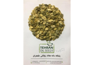 مغز کدو ایرانی در تهران فروش مغز کدو ایرانی به صورت کیلویی و تناژ مناسب