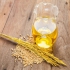 فروش روغن سبوس برنج ارگانیک در کرج فروش روغن سبوس برنج ارگانیک فروش