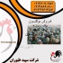 فروش جوجه یک روزه بوقلمون طیور قیمت روز در تهران فروش جوجه بوقلمون