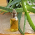 فروش روغن کاکتوس قیمت روغن کاکتوس عمده در مشهد واردات تخصصی و فروش