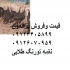 بوقلمون برنز فروش جوجه بوقلمون طیور در تهران فروش و قیمت جوجه