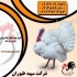 فروش بوقلمون زنده فروش جوجه بوقلمون بوربون طیور در تهران فروش