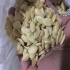 روغن آرگان و دانه آرگان در تهران روغن آرگان اصل مراکش بصورت عمده واردات