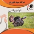 قیمت جوجه بوقلمون یک ماهه قیمت مقرون به صرفه طیور در تهران قیمت جوجه