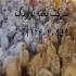 قیمت فروش جوجه بوقلمون بیوتی یک ماه طیور در تهران قیمت فروش جوجه