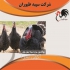 بوقلمون برنز سینه پهن آمریکایی و انگلیسی طیور در تهران بوقلمون برنز