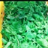 قیمت سبزی پاک کرده و شسته شده و پخش سبزی در کرج پخش سبزی پاک شده و ضد