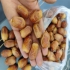 بازرگانی صادرات صیفی جات صیفی جات و سبزیجات تازه در شیراز