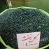 تولید و پخش روغن گل بنفشه گل سرخ در تهران تولید روغن گل بنفشه پایه