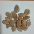 پخش عمده مغز شکسته و سالم بادام شیرین و تلخ و زردا در تهران پخش عمده