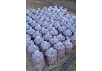 سمانته مس اکسیدی فروش سمانته مس اکسیدی