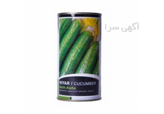 فروش بذر خیار استاندارد بتا آلفا KC در بندرعباس بذر خیار بتا آلفا KC