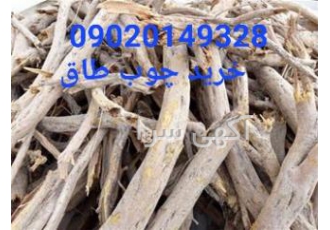 چوب طاق خریدارم باسلام چوب تاغ شمارا خریدارم با بالاترین قیمت مزایده