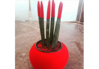 کار در منزل یا دستگاه مخمل پاش پودر مخمل دستگاه مخمل پاش صنعتی دستگاه