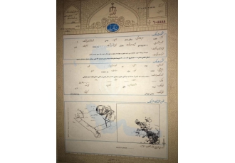 زمین زراعی