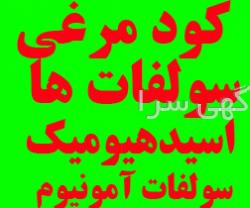 بذر درخت میوه