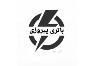 باتری پیروزی UPS ✅ ارائه انواع باتری یو پی اس