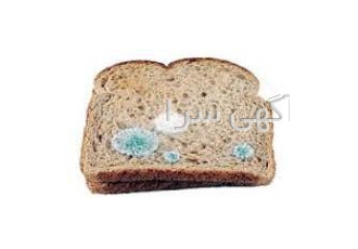 نگهدارنده نان ، نگهدارنده کیک ، پروپیونات کلسیم