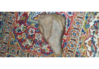 شهاب سنگ شهاب سنگ کربنی