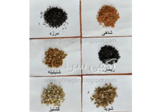 صادر انواع بذر صادرات انواع بذر