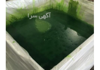 فروش موم ریخته گری دقیق فروش موم ریخته گری دقیق تصفیه شده آب گیری شده