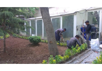 خدمات باغبانی کاشت گل و گیاه درخت و درختچه هرس سمپاشی شخم کود دهی