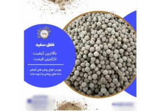 فلفل سفید قلم