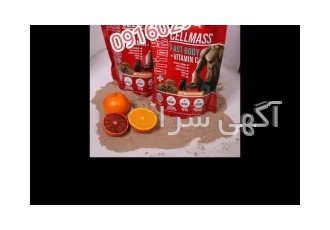 چاقی گیناپ اصلی گلکسی