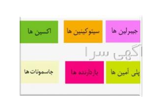 هورمون رشد گیاهی ۶ بنزیل آدنین هورمون 6 بنزیل آدنین یا 6 بنزیل آمینو