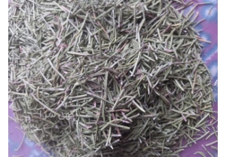 فروش رزماری خشک شده (برگ خالص) در اصفهان فروش رزماری خشک شده برگ خالص