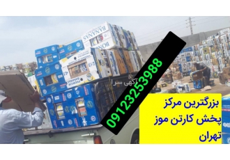 فروش کارتن موزی اندازه کارتن موزی ارسال 24ساعته شبانه روزی کارتن موزی