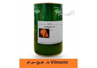 فروش بذر هویج SYRANO F1 ویلمورین درجه 1
