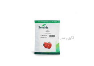 عرضه و فروش بذر گوجه فرنگی بدرو