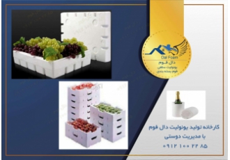 لیست قیمت یخدان یونولیتی با کیفیت| فروش یخدان مواد دار کارخانه دال فوم