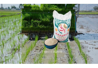 برنج طارم درجه یک