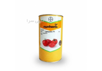 فروش بذر گوجه فرنگی سانسید در تبریز توزیع و فروش بذر گوجه سانسید 6189