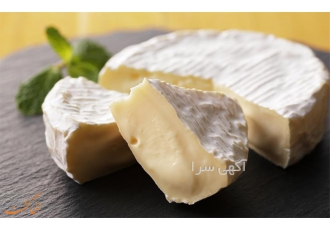 فروش استارتر پنیرufوارداتی صنایع غذایی در آمل کمترین قیمت استارتر