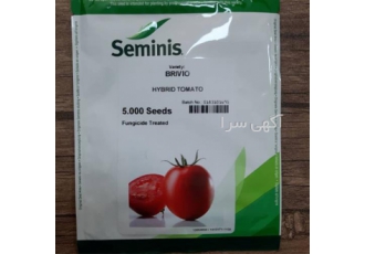 بذر گوجه فرنگی بریویو فروش ویژه و قیمت مناسب در اهواز رقمی بلوکی شکل