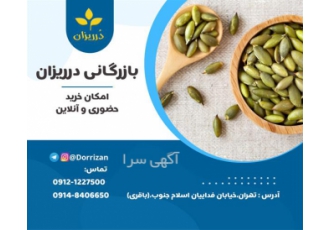 فروش عمده مغز کدو طبی و روغن کدو طبی