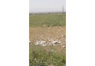 زمین کشاورزی ۴۵۰۰۰متر