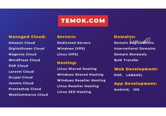 Best Web Hosting | Dedicated Server | Temok IT Service