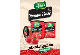 فروش رب گوجه فرنگی مولود