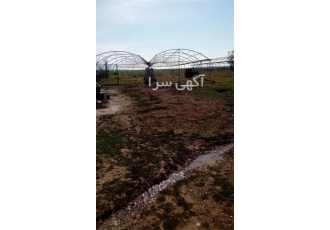 فروش سازه گلخانه 1000 متری سال 86 گالوانیزه ضخیم